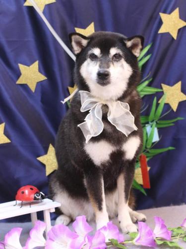 20230704ひめちゃん